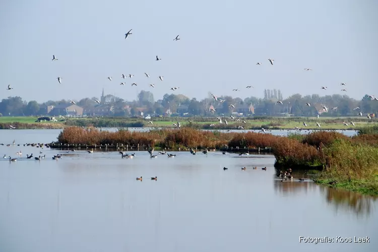 Vogelkijkdag Natuurgebied Twisk - Oostermare