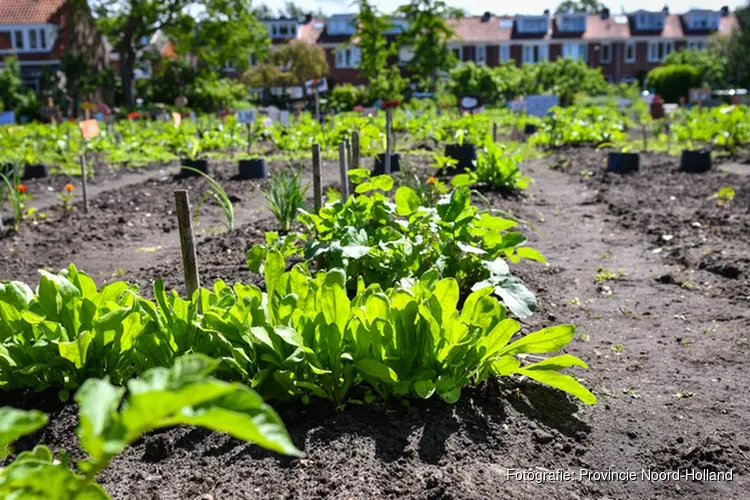 In totaal € 7,86 miljoen subsidie voor De Kop en Westfriesland om platteland te versterken