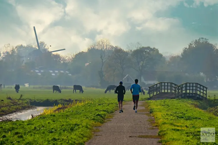 Januari eindigt bewolkt en zacht