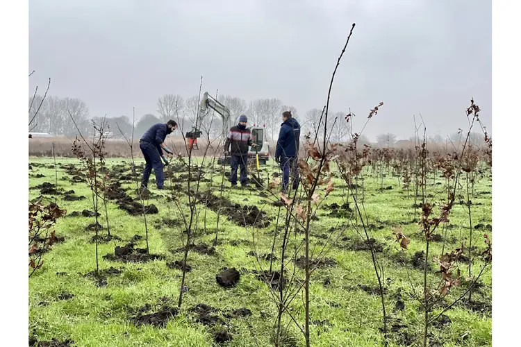 Natuurgebied de Weelen krijgt er 10 hectare bos bij