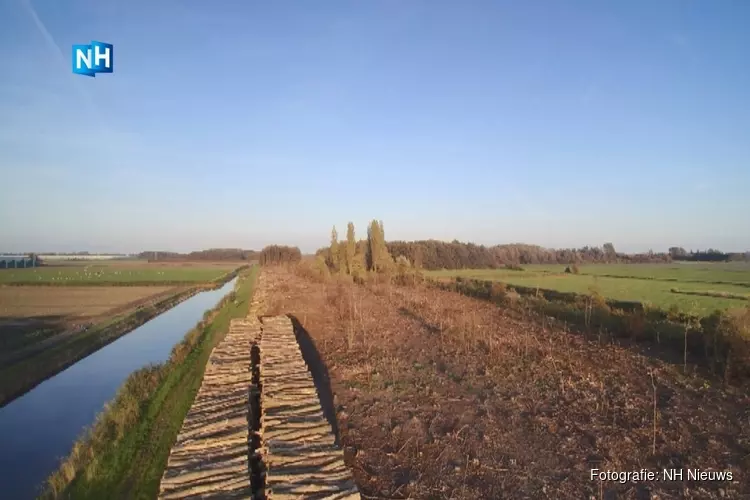 Opnieuw grote delen van bossen gekapt in Medemblik door essentaksterfte