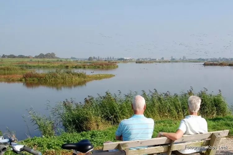 Vogels spotten bij de Waterberging Twisk