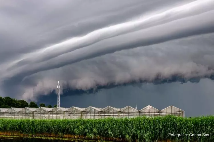 Andijkse maakte spectaculaire weerfoto: "Op mijn knieën tussen de knotwilgen"