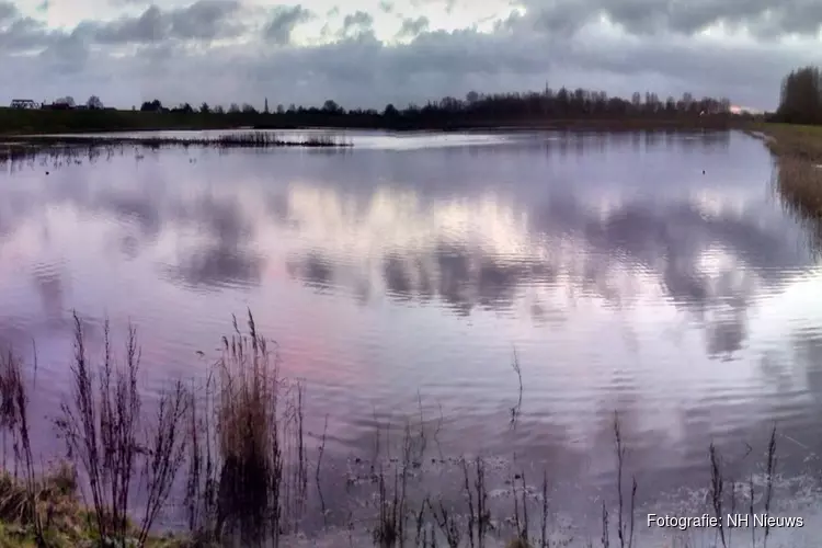 Koopmanspolder helpt visstand IJsselmeer herstellen: &#39;Bijzonder stukje natuurinnovatie&#39;