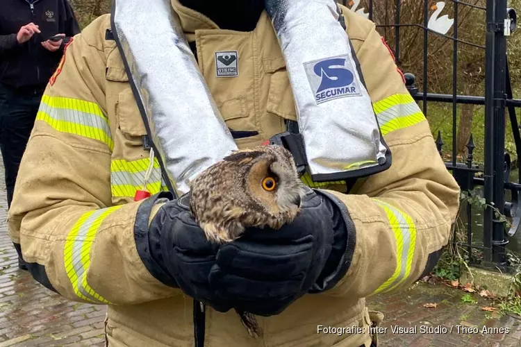 Ransuil gered door brandweer