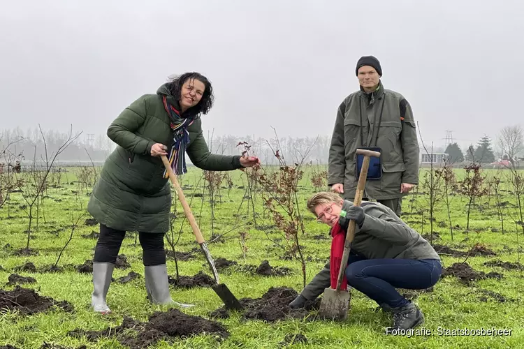 Eerste bomen nieuw bos Groote Vliet aangeplant