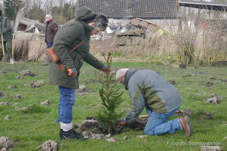 500 bomen geplant tijdens boomplantdag bij de Groote Vliet